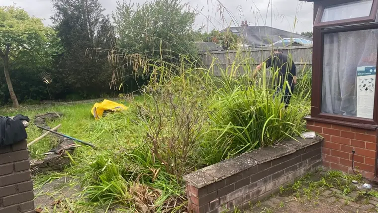An overgrown border of tall ornamental grasses and shrubs being cut back beside a brick raised bed