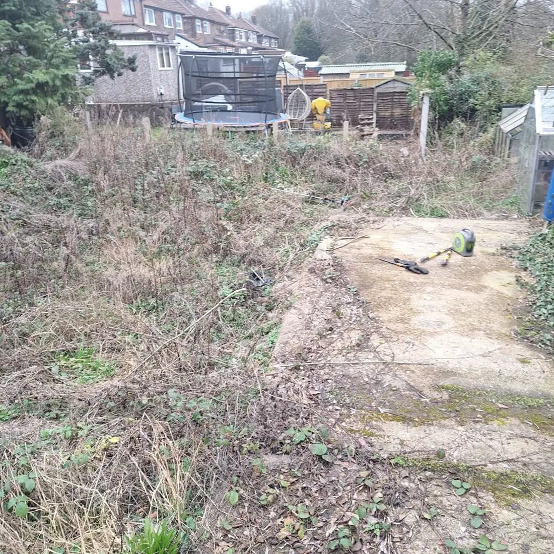 Before — an overgrown back garden full of brambles, with a trampoline and greenhouse behind